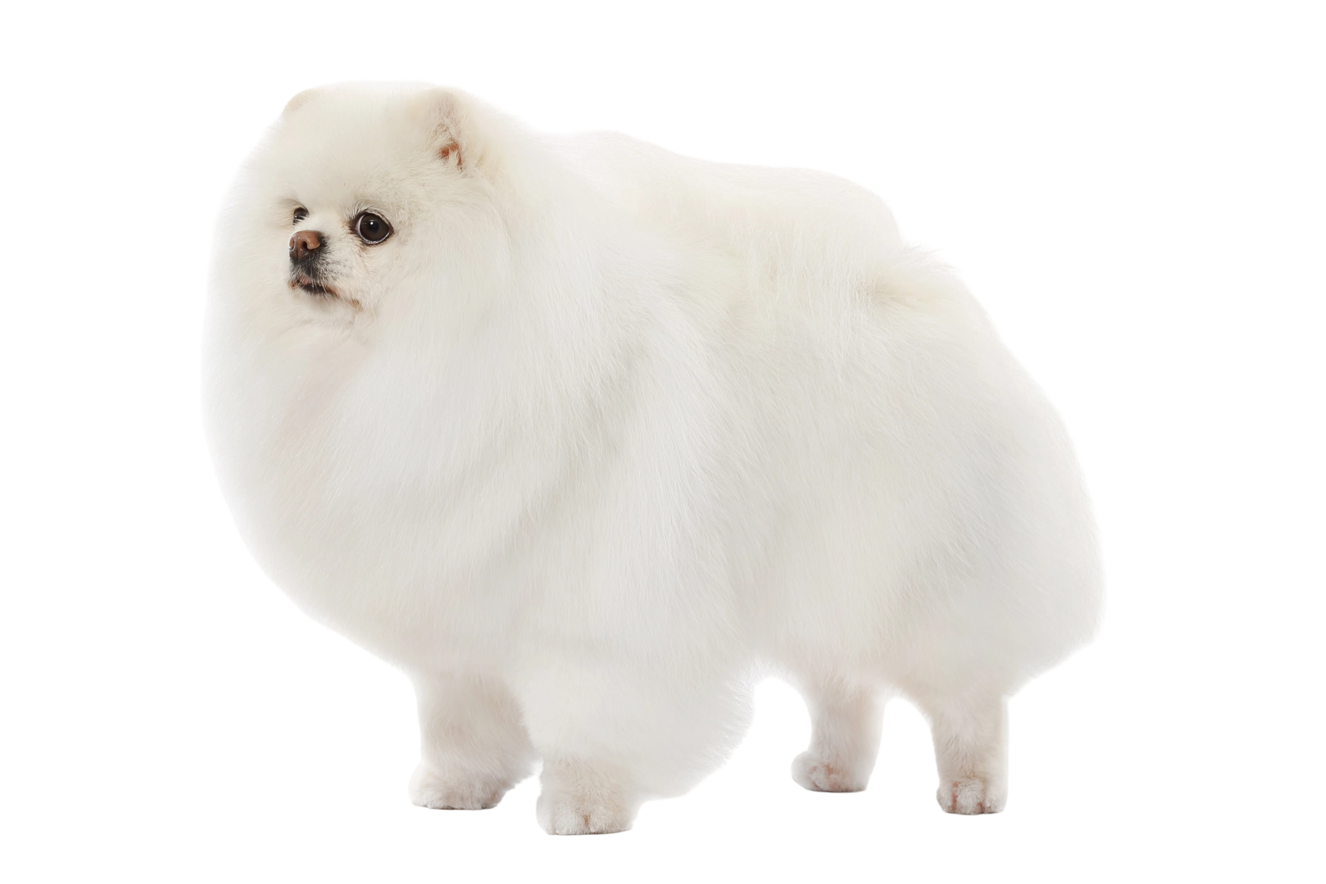После