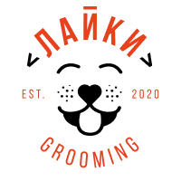 Логотип